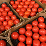 Fresh Vine Tomato 6Kg