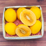 Yellow Melon 6/Box